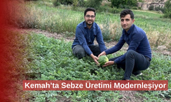 Kemah’ta modern yöntemlerle sebzecilik yapılıyor