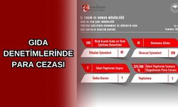 Gıda denetimlerinde ceza yağdı