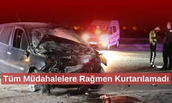 Duvara çarpıp yola savrulan otomobilin sürücüsü hayatını kaybetti