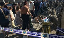 Yolda yürüyen 3 kişinin üzerine ağaç devrildi