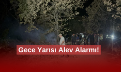 Gebze'de gece yarısı orman yangını: 7 dönüm alan kül oldu