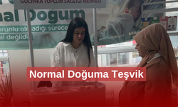 Anne olmanın doğal yolu anlatılıyor