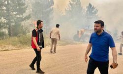 Milletvekili Şahin: "Bu, Karabük tarihinin en büyük yangını"