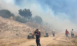 Manisa'daki orman yangını kontrol altına alındı
