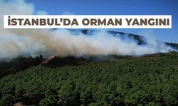 İstanbul'da orman yangını
