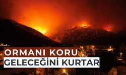 Her Çöp, Ateşin Kıvılcımı: Ormanlarımız için 20 ton çöp toplandı