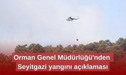 Orman Genel Müdürlüğü'nden Seyitgazi yangını açıklaması