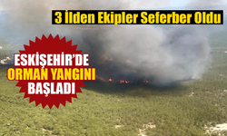 Eskişehir'de orman yangını! Ciğerler yanıyor