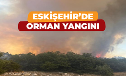 Eskişehir'de orman yangını başladı!