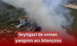 Seyitgazi'de orman yangının acı bilançosu