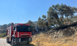 2 günde 55 yangına müdahale ettiler
