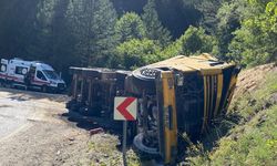Talaş yüklü tır devrildi