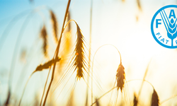 Türkiye FAO Konsey Üyeliğine Seçildi
