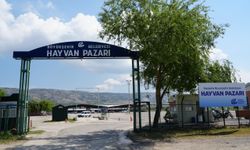 Türkiye’de Hayvan Pazarları Geçici Süreyle Kapandı