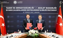 Kasten orman yakana 10 yıl hapis cezası