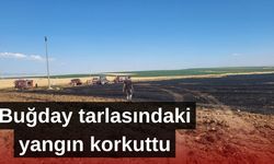 40 dönümlük tarlada yangın