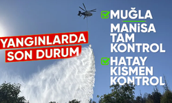 Orman yangınlarda son durum ne?