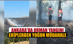 Ankara'da orman yangını başladı