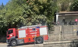 Zonguldak'ta ormanlık alanda çıkan yangın söndürüldü