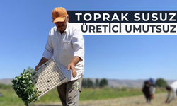 Kuraklık Yaktı, Maliyet Boğdu!
