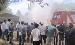 Yüksekova’da ot yangını: Bin bağ ot küle döndü