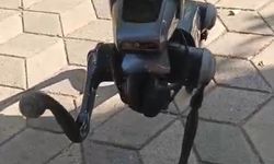 Kent merkezindeki robot köpek görenleri hayrete düşürdü