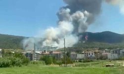 Soma’da orman yangını