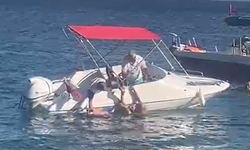 Yalova'da sürat teknesinin çarptığı yaşlı kadın ağır yaralandı