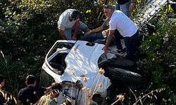 Kontrolden çıkan kamyonet ağaçlık alana uçtu