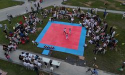 Minik Taekwondocular Sahaya Çıktı: Heyecan Dorukta!
