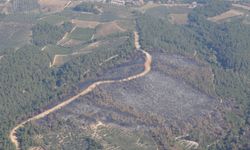 Yeşil Vatan için binlerce gönüllü CİMER'e koştu