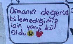 Bursalı çocuklar "gri" rengi sevmedi