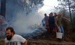 Mahalleli birlik oldu, orman yangınına kovalarla müdahale