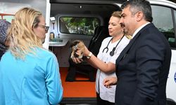 Patili canlara mobil hizmet
