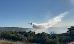 Ormanlık alana sıçrayan yangın kontrol altında