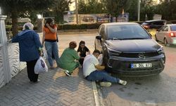 Mahsur kalan kediyi kurtarmak için mahalleli seferber oldu