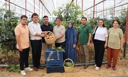 Binlerce Ağaçla Tropikal Meyve Devrimi Başladı