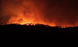 Orman yangını 7 saattir devam ediyor