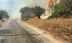 Bodrum’da makilik alanda yangın paniği: "Havadan ve karadan müdahale sürüyor"