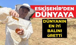 Eskişehir’den Dünyaya: Dünyanın en iyi balını üretti