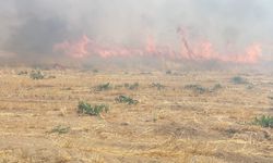 Adilcevaz’da arpa tarlasında yangın