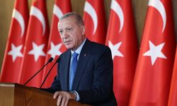 Cumhurbaşkanı Erdoğan: "Türkiye yangınlarla mücadelede parmakla gösterilen bir ülke"