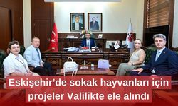 Eskişehir’de sokak hayvanları için projeler Valilikte ele alındı