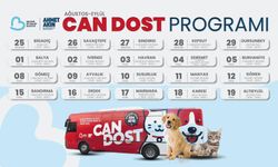 Büyükşehir Belediyesinin Can Dost’u Şifa Dağıtıyor