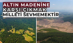 Gölge etmeyin devlet, millet kazansın
