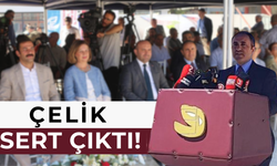 "Kurt engellemese 3 sene önce yapılırdı"