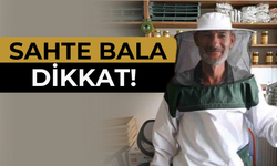 Arıcılar Zor Günler Geçiriyor