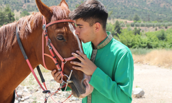 Uluslararası şampiyonalarda derece elde etti