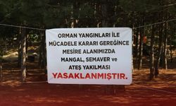 Belediye uyardı! Mesire alanlarında mangal ve semaver yasak