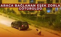 Kars’ta tepki çeken eşek işkencesi